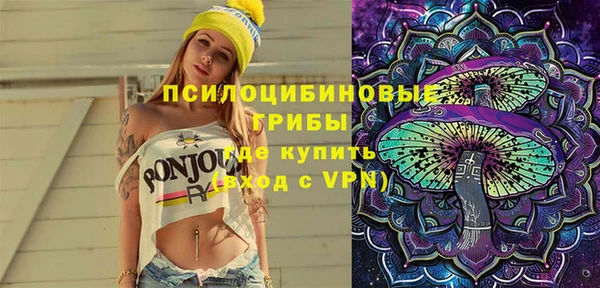 шишки Инсар