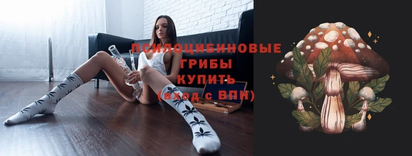 шишки Инсар