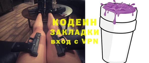 шишки Инсар
