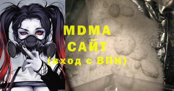шишки Инсар