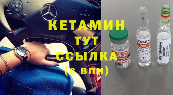 шишки Инсар