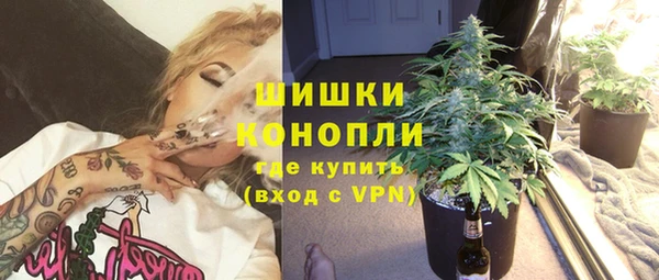 шишки Инсар