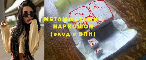 шишки Инсар