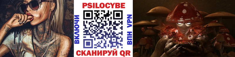 Купить закладки  Белокуриха  Псилоцибиновые грибы мицелий 